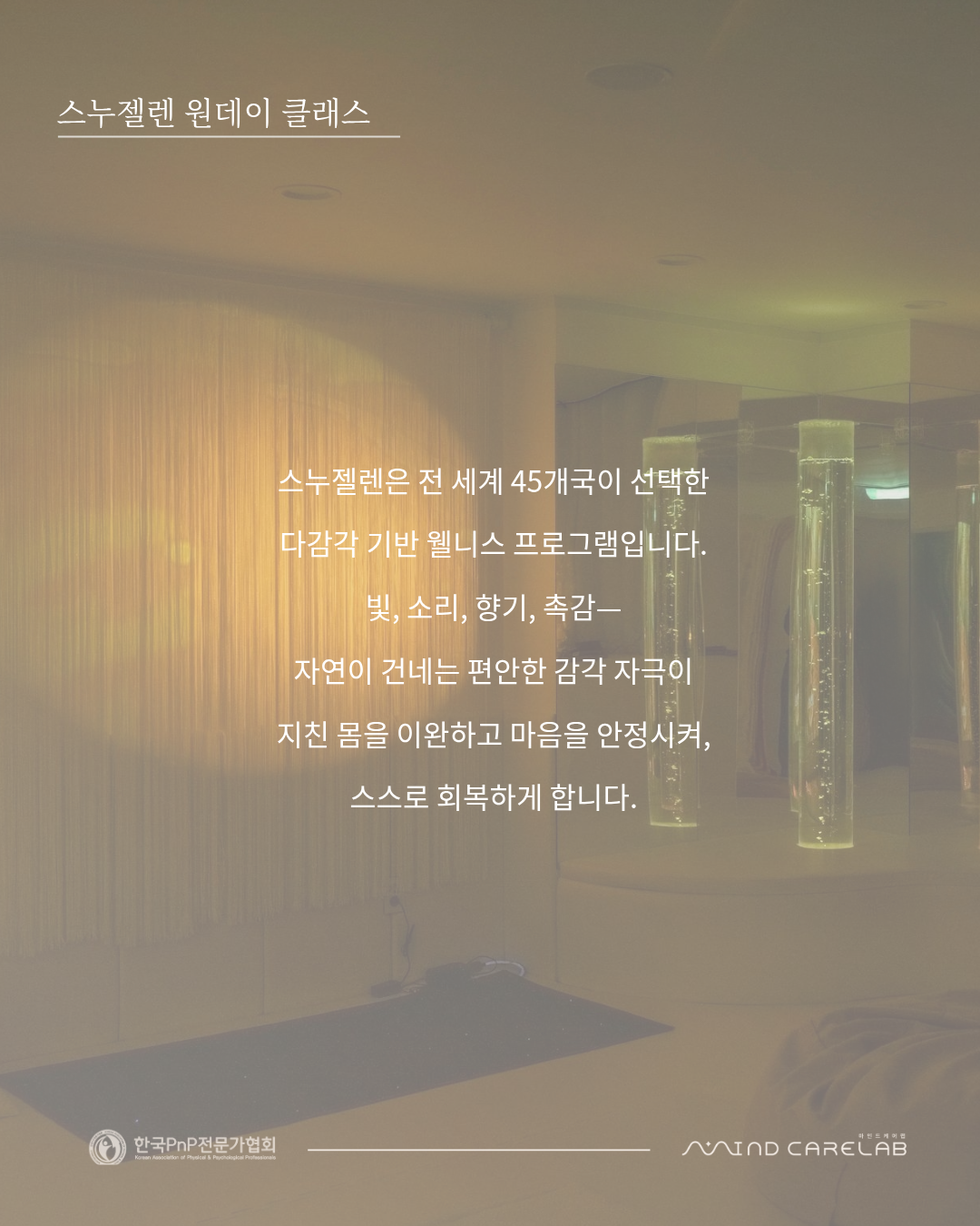 b035ce939cc38.png