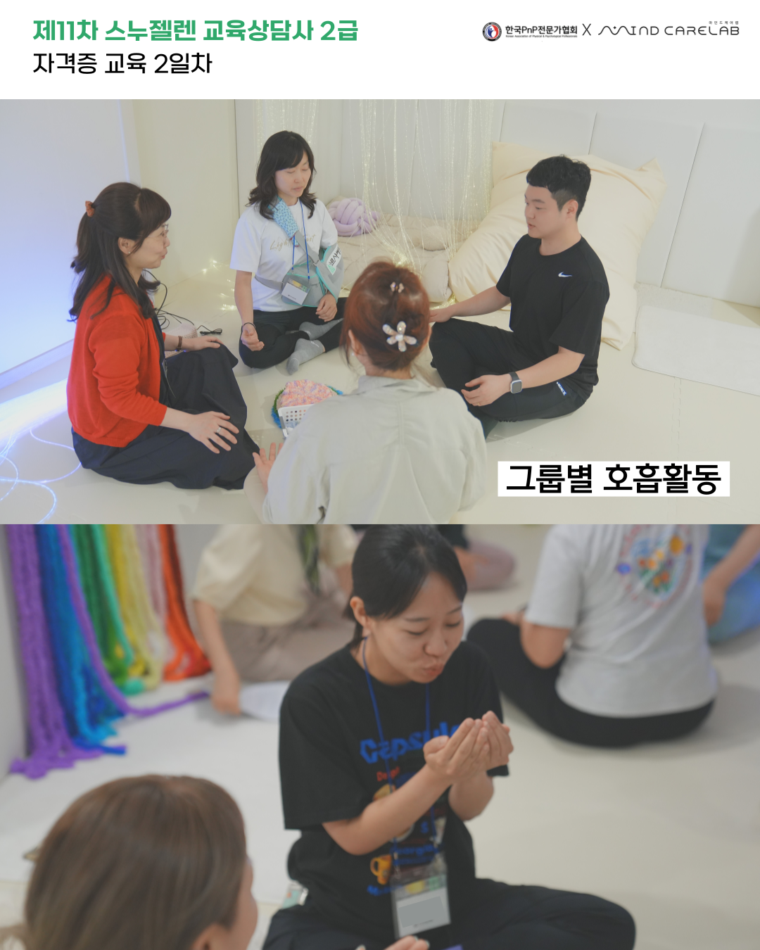 b3b195d33a797.png