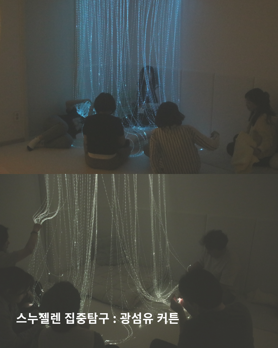 d99685d09449f.png