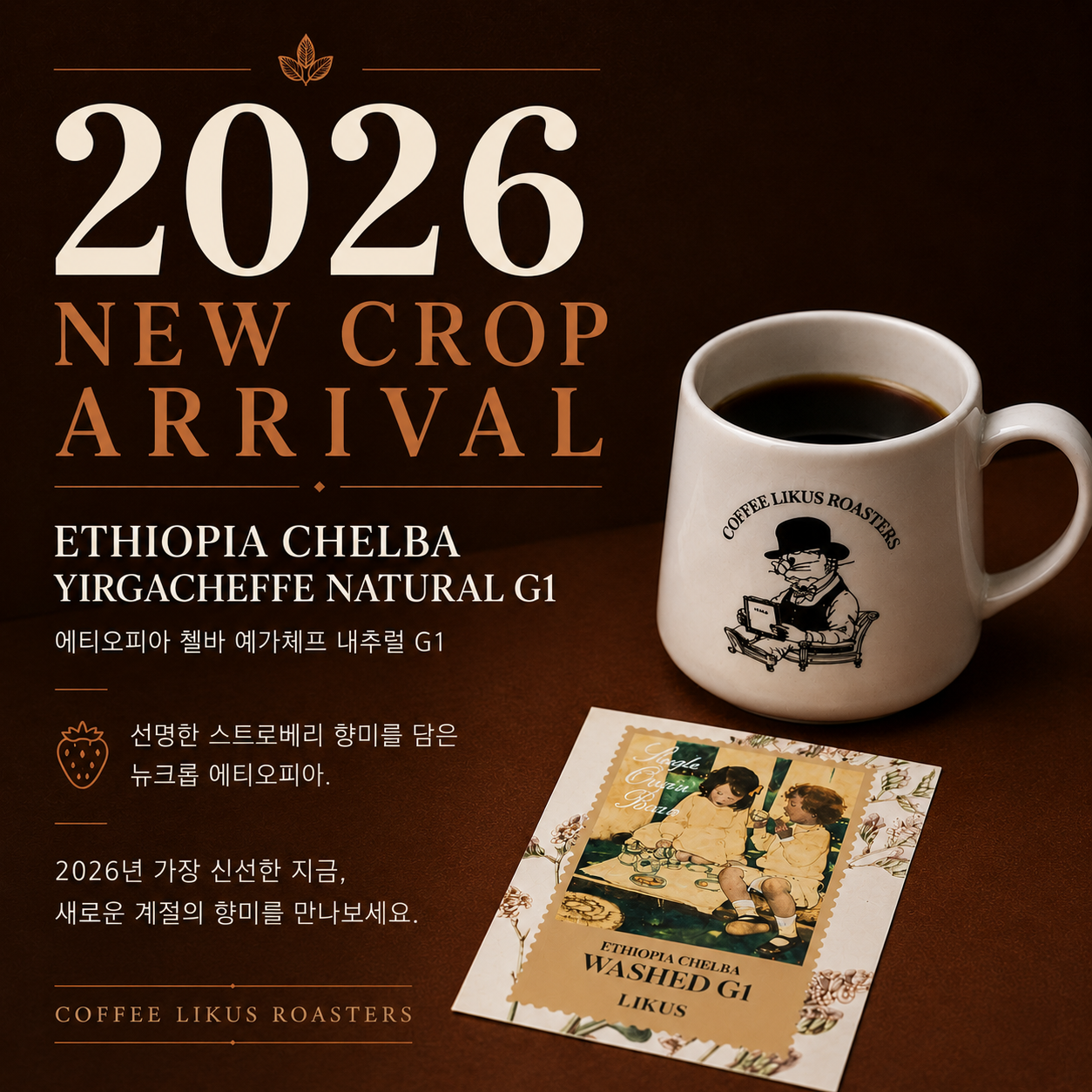 🌟커피라이커스 시그니처 기프트세트 🌟2026 NEW CROP ARRIVAL