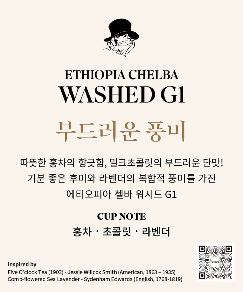 🌟커피라이커스 시그니처 기프트세트 🌟2026 NEW CROP ARRIVAL