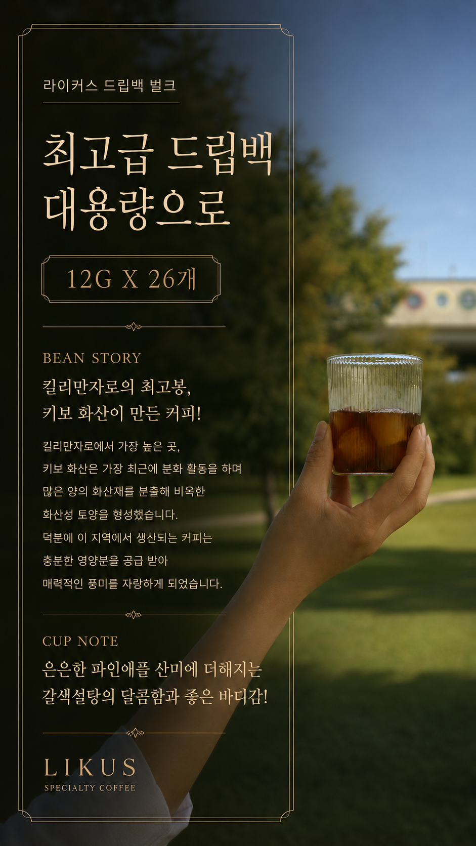 라이커스 드립백 벌크 대용량으로 12G X 26개🏆 우수로스터 선정 챌린지 1등