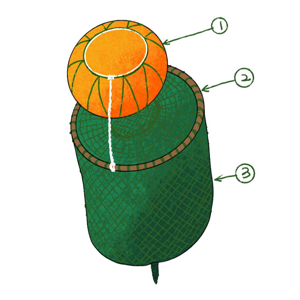 96cbbc0aeef98.png