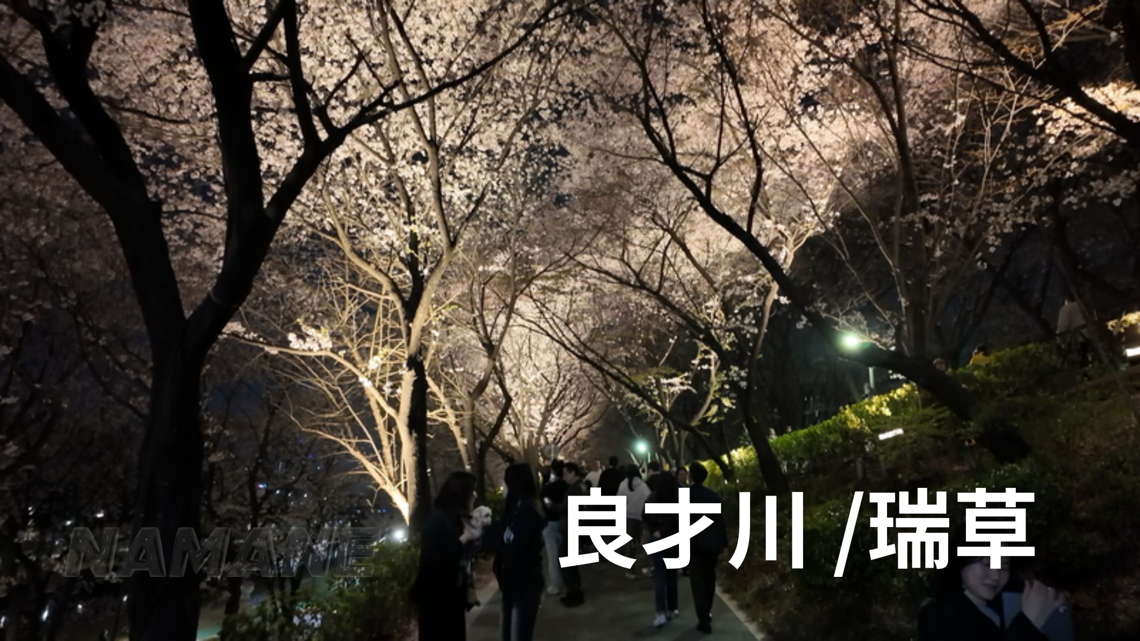 d39a501bb22b7.jpg