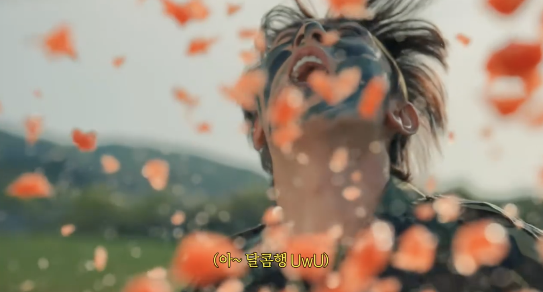 066c6cacf3836.png