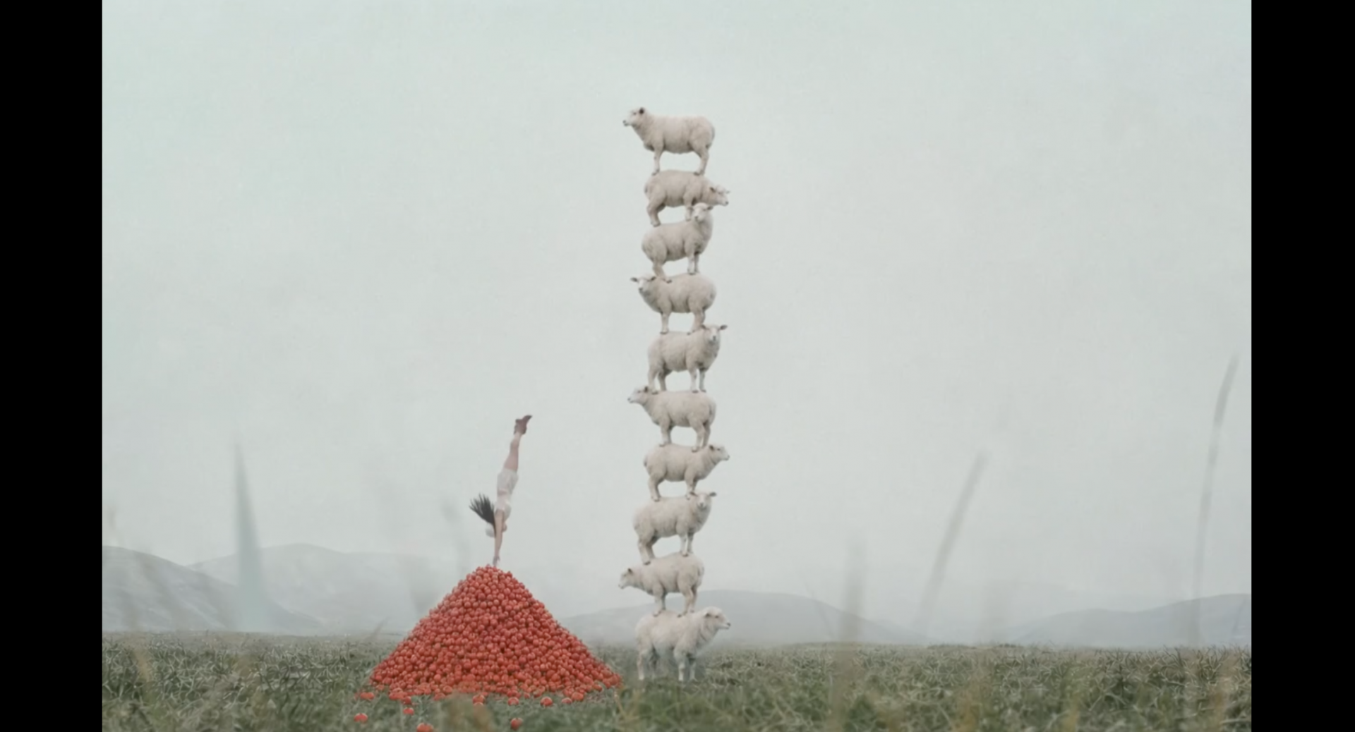 1a29206daf0f0.png