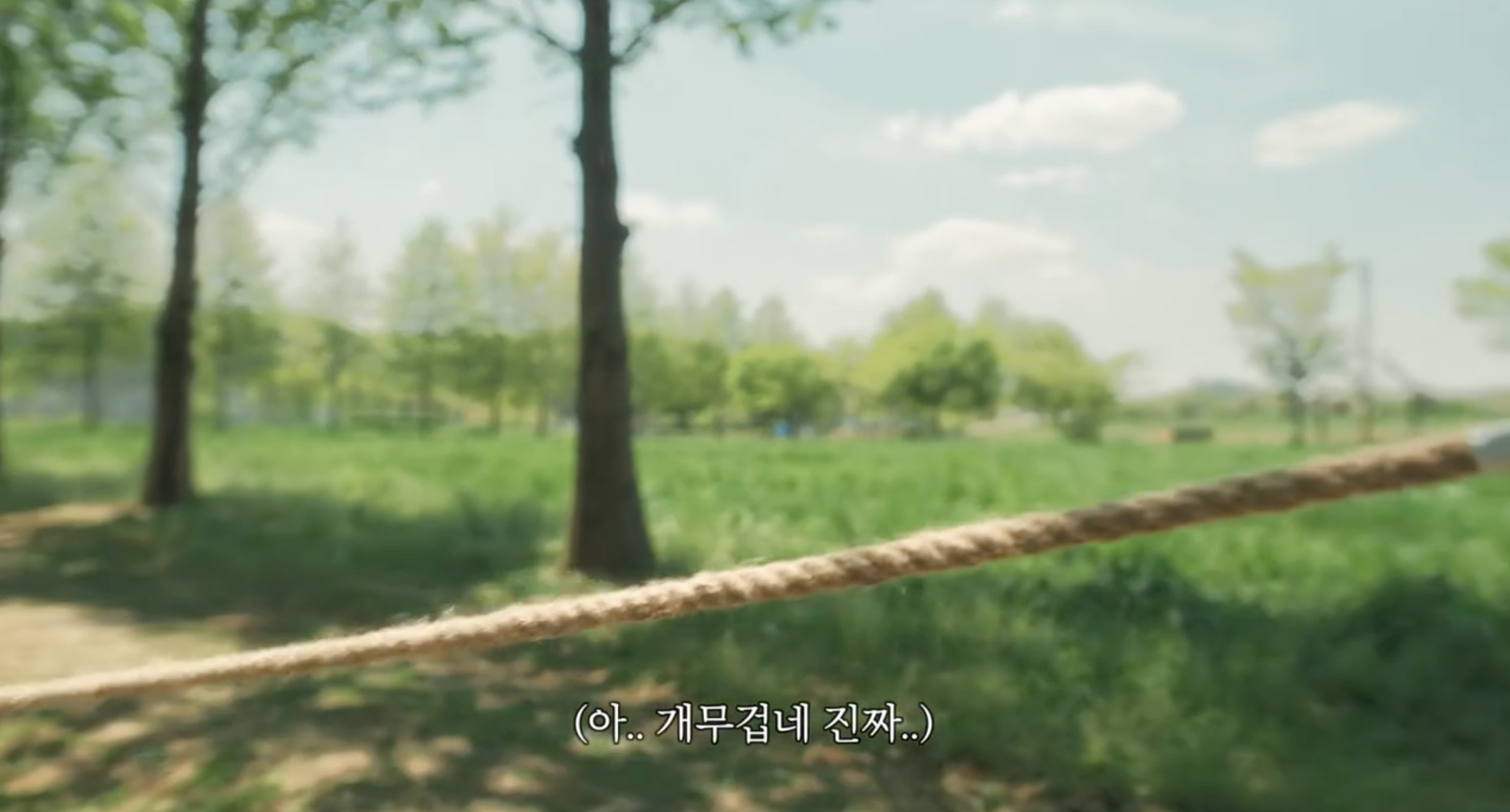 38a45d91ce276.png