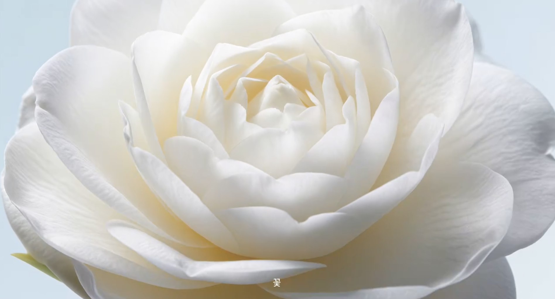 a753b05549d71.png