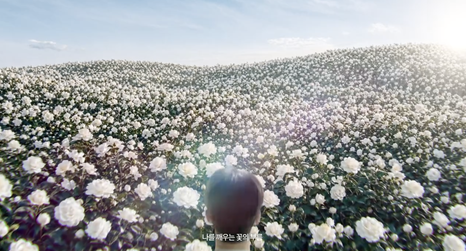 fa19e00a4c47d.png