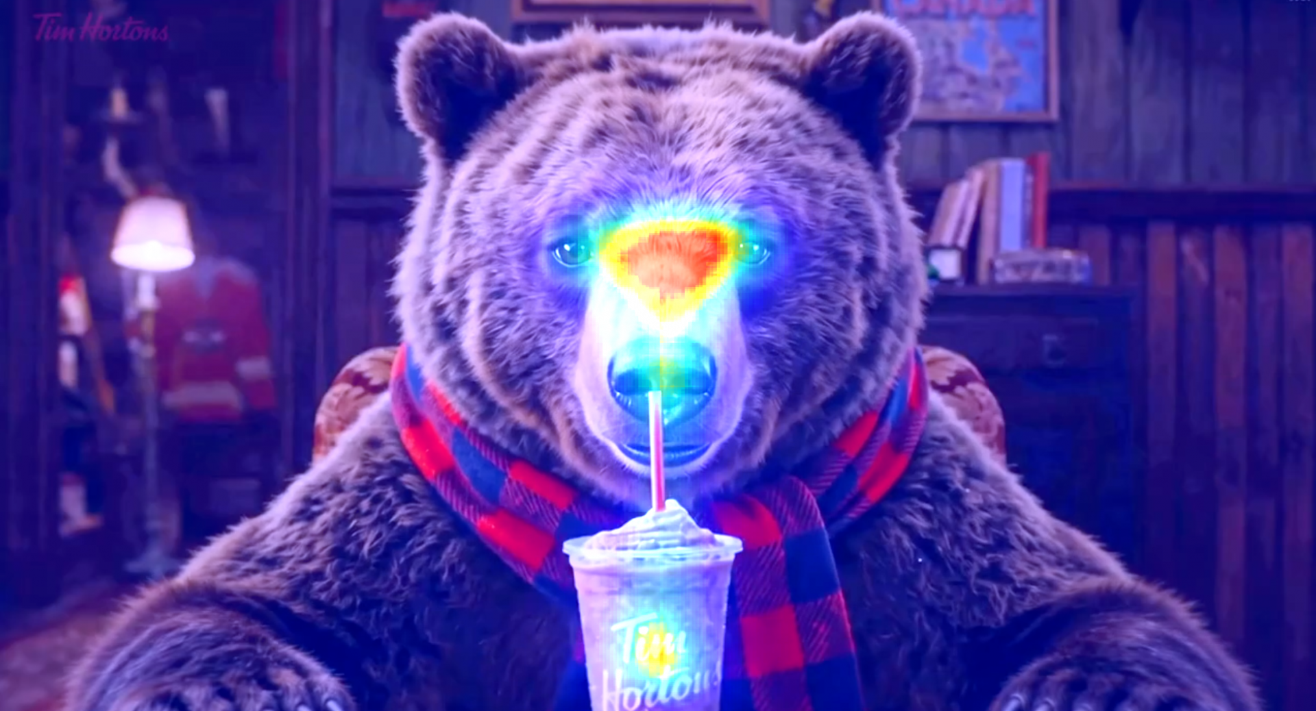 fff45251238d3.png