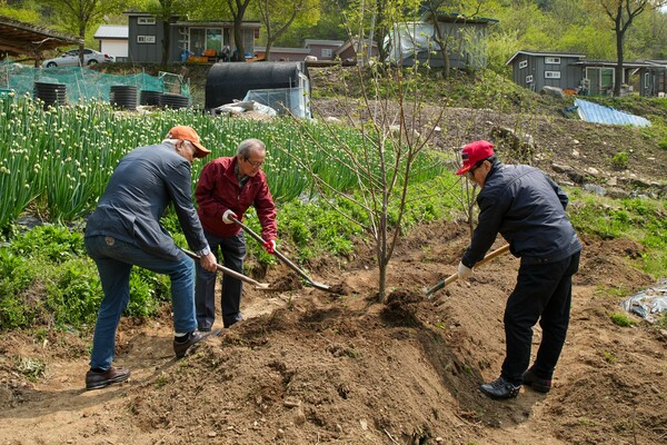 [통일 나무 행사를 진행 중인 참가자들 모습]
