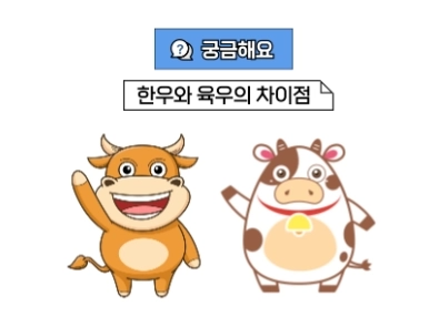 우호삼 고급 선물세트 에르메소