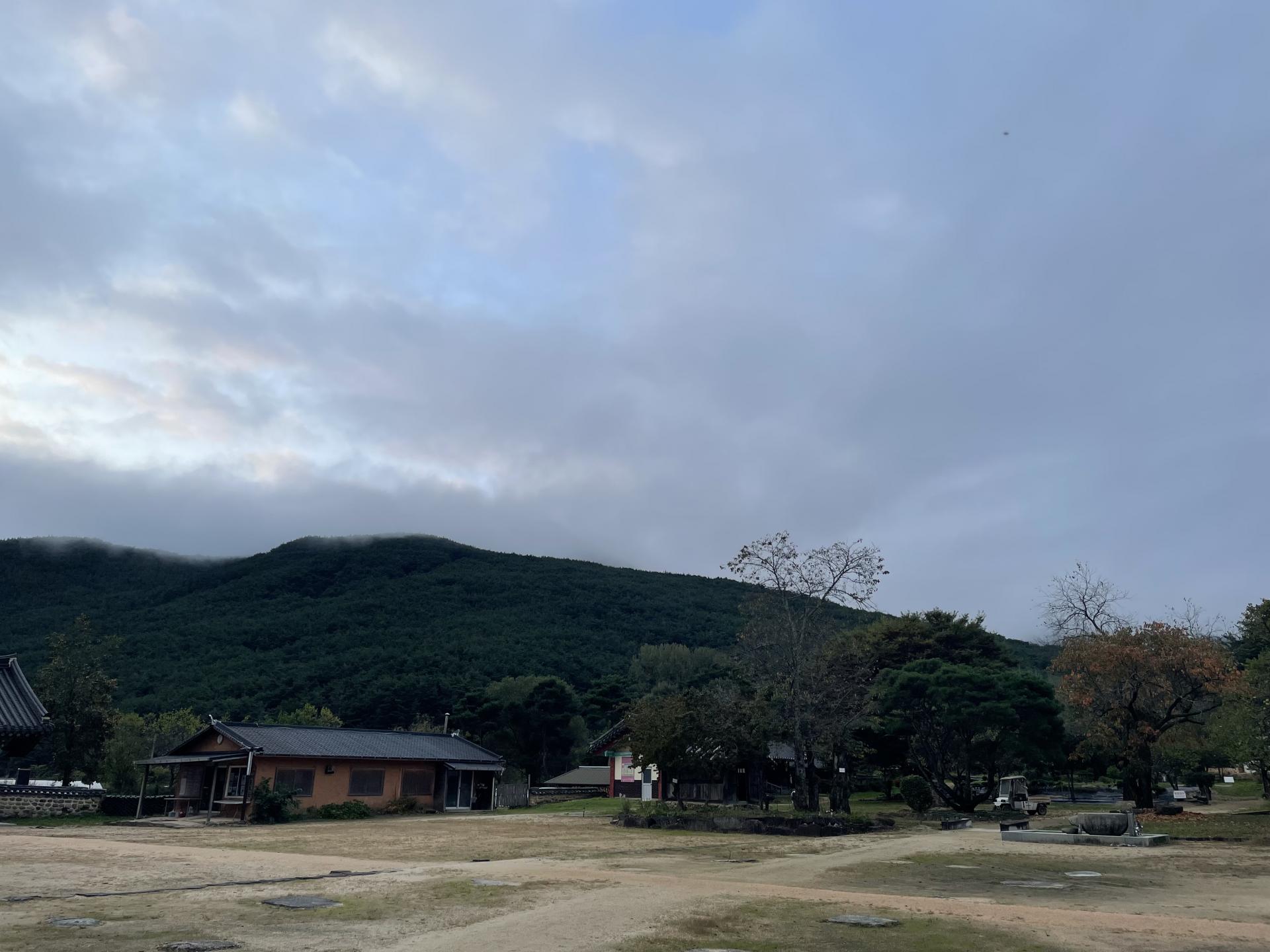 7032c29eab7c0.jpeg