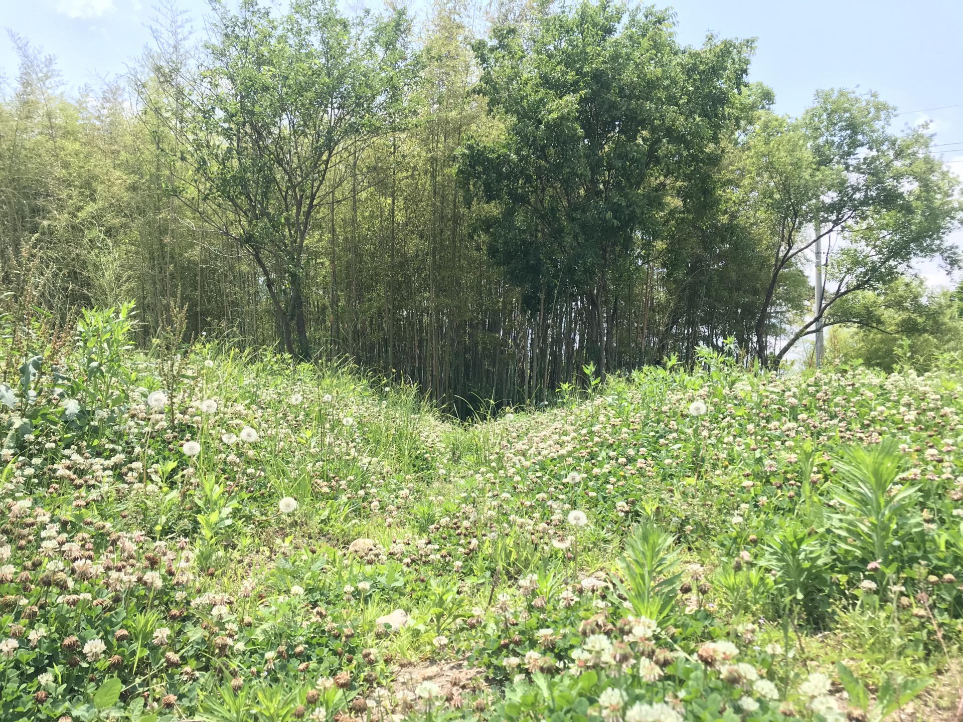 a6d579a70ad56.jpg