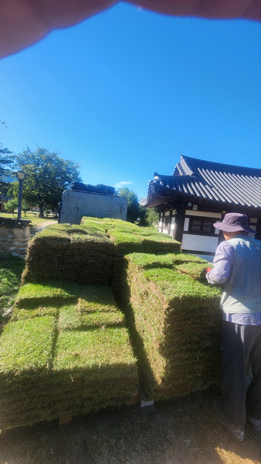 c874204160d48.jpeg