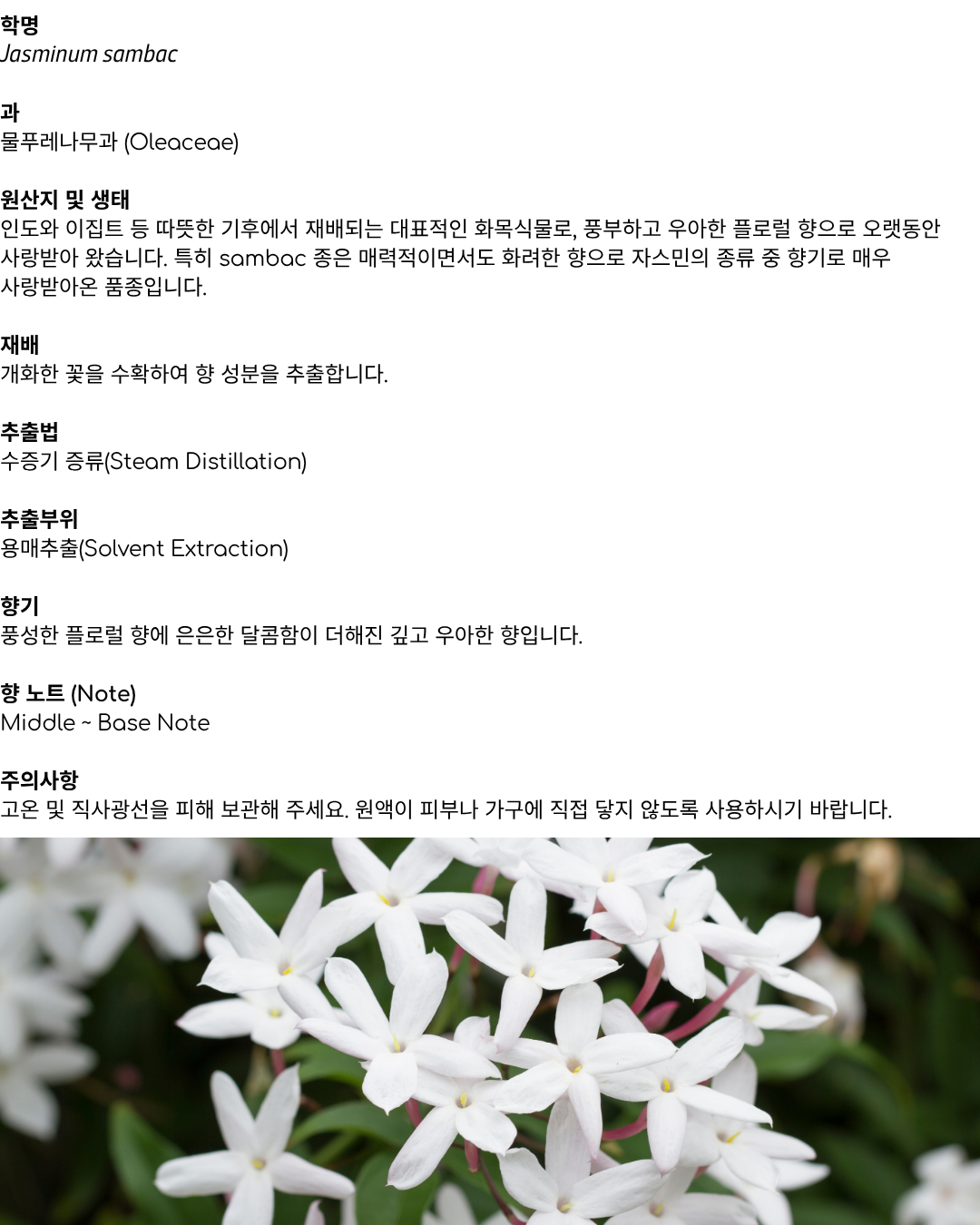 에르보리스타 자스민 에센셜오일