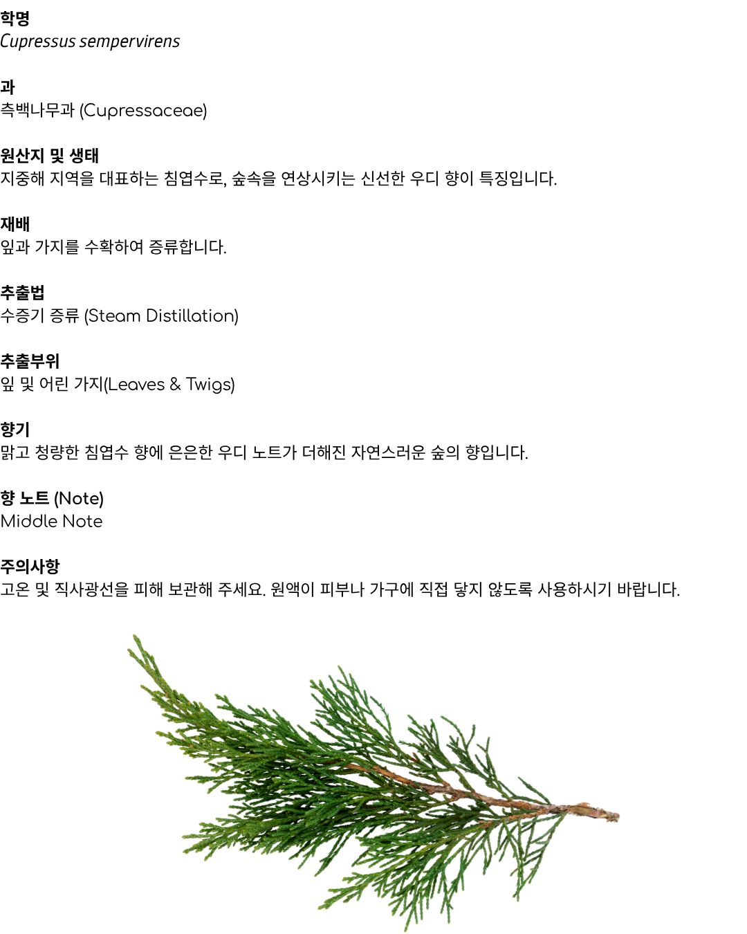에르보리스타 사이프러스 에센셜오일