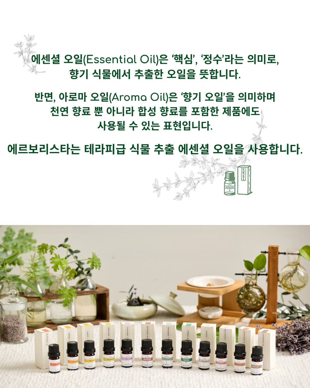 에르보리스타 오렌지 에센셜오일