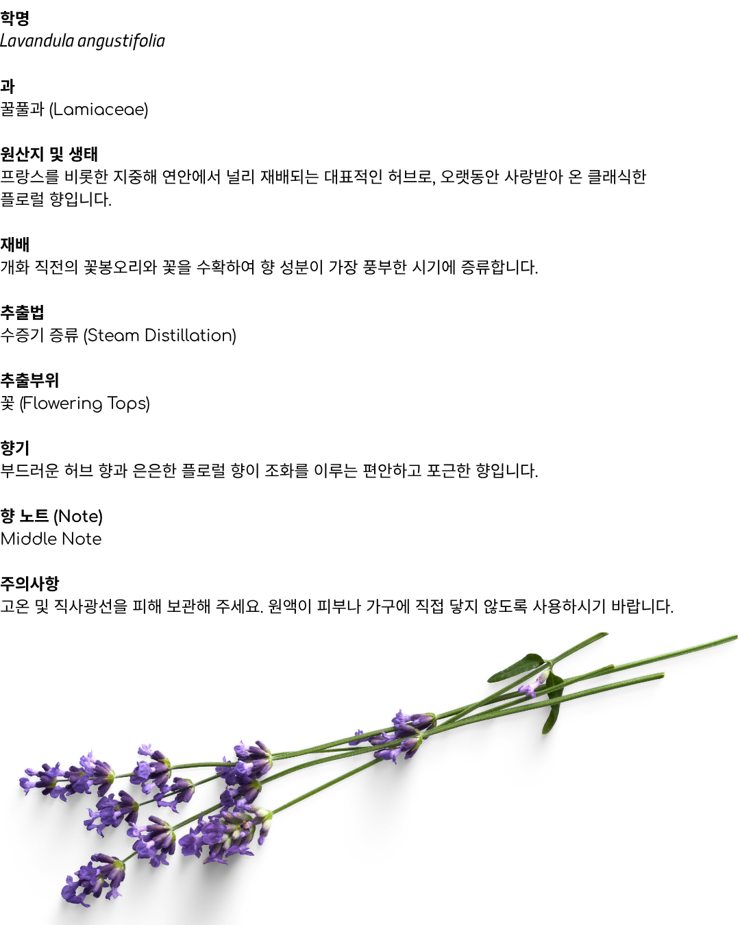 에르보리스타 라벤더 에센셜오일