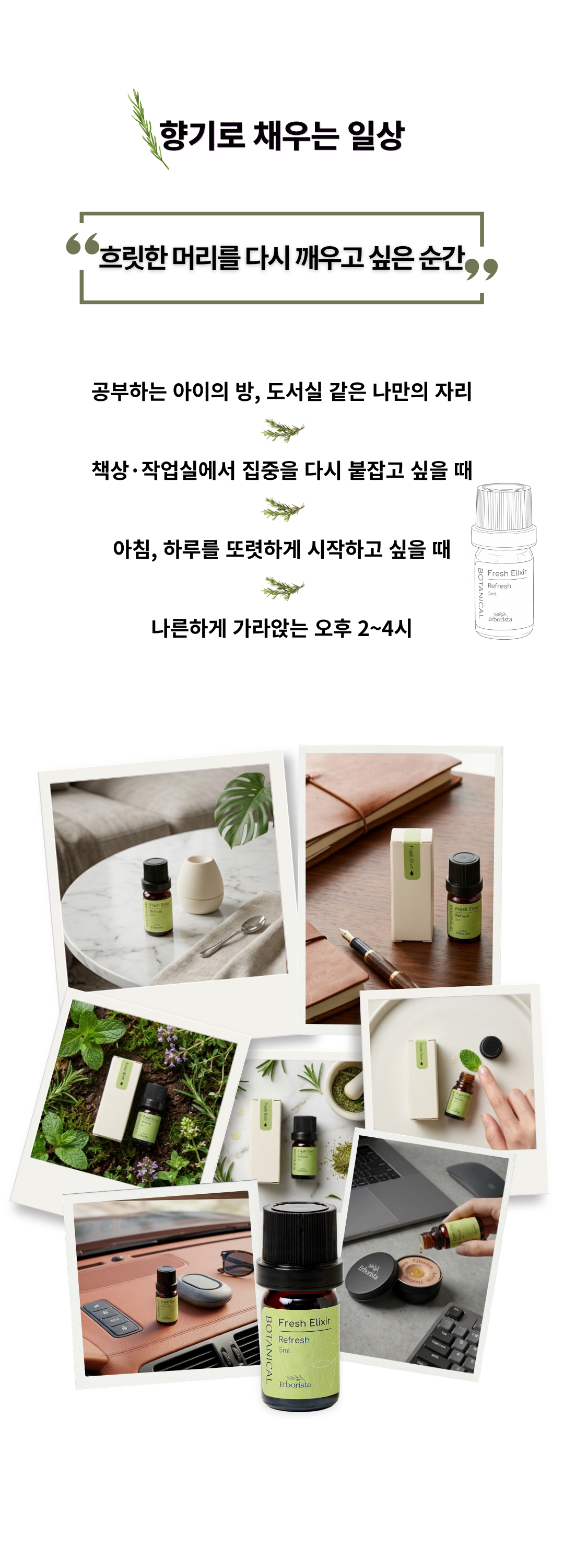 에르보리스타 그레이프프루트 에센셜오일