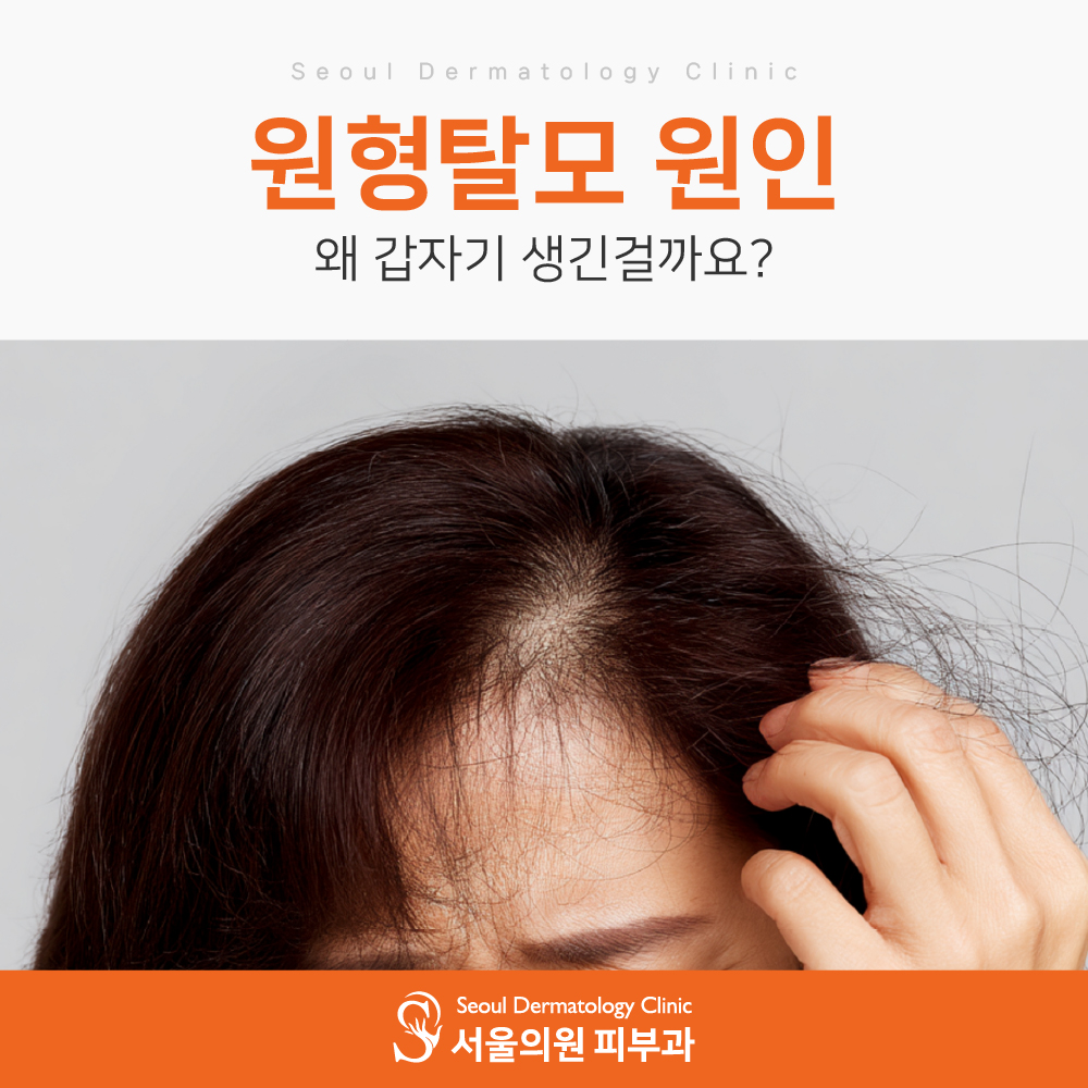 344dabe656f3c.jpg