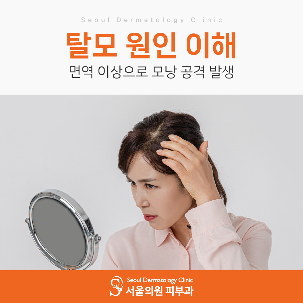 63f3a2a2c22a3.jpg