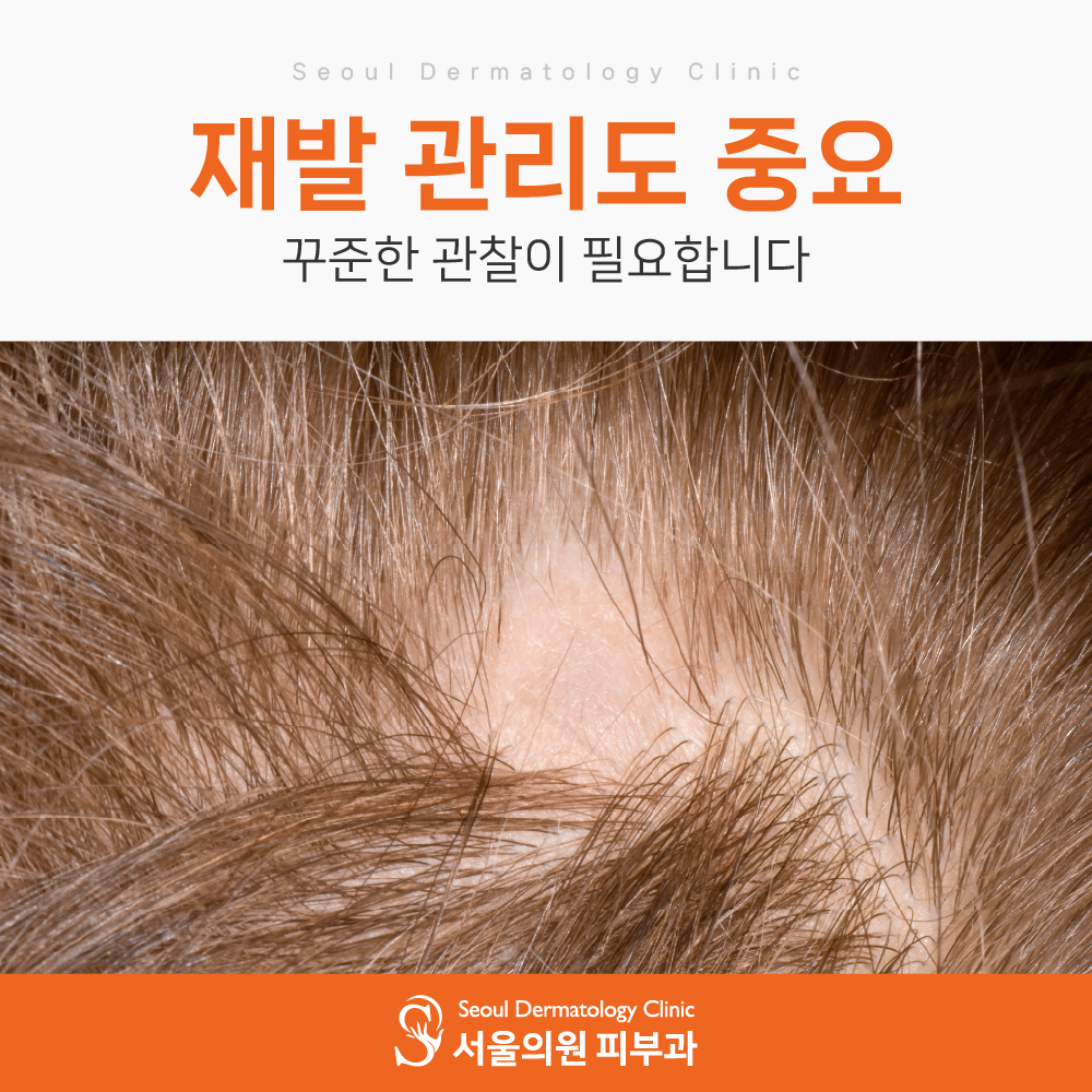 d96035b9ddea9.jpg