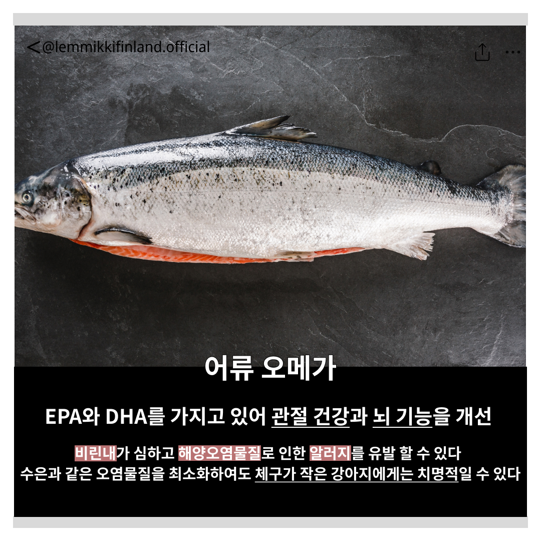 508a6067b59ec.jpg