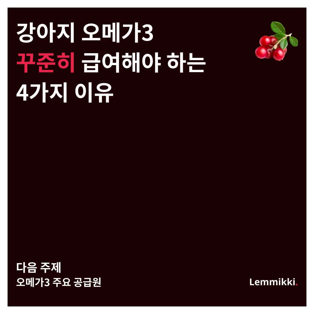 92a7205bed216.jpg
