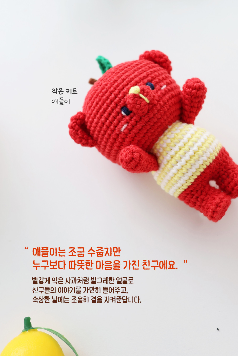 [바이브리 DIY KIT] 프루츠돌 과일 인형 뜨개 뜨개질 코바늘 인형 키링 뜨개 키트 패키지