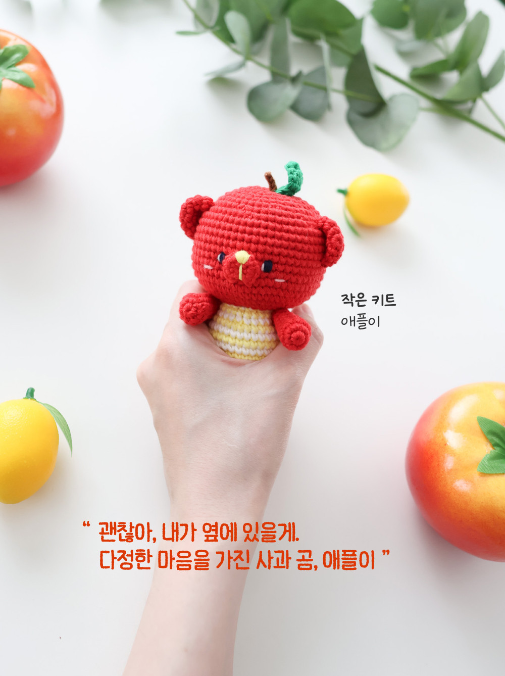 [바이브리 DIY KIT] 프루츠돌 과일 인형 뜨개 뜨개질 코바늘 인형 키링 뜨개 키트 패키지