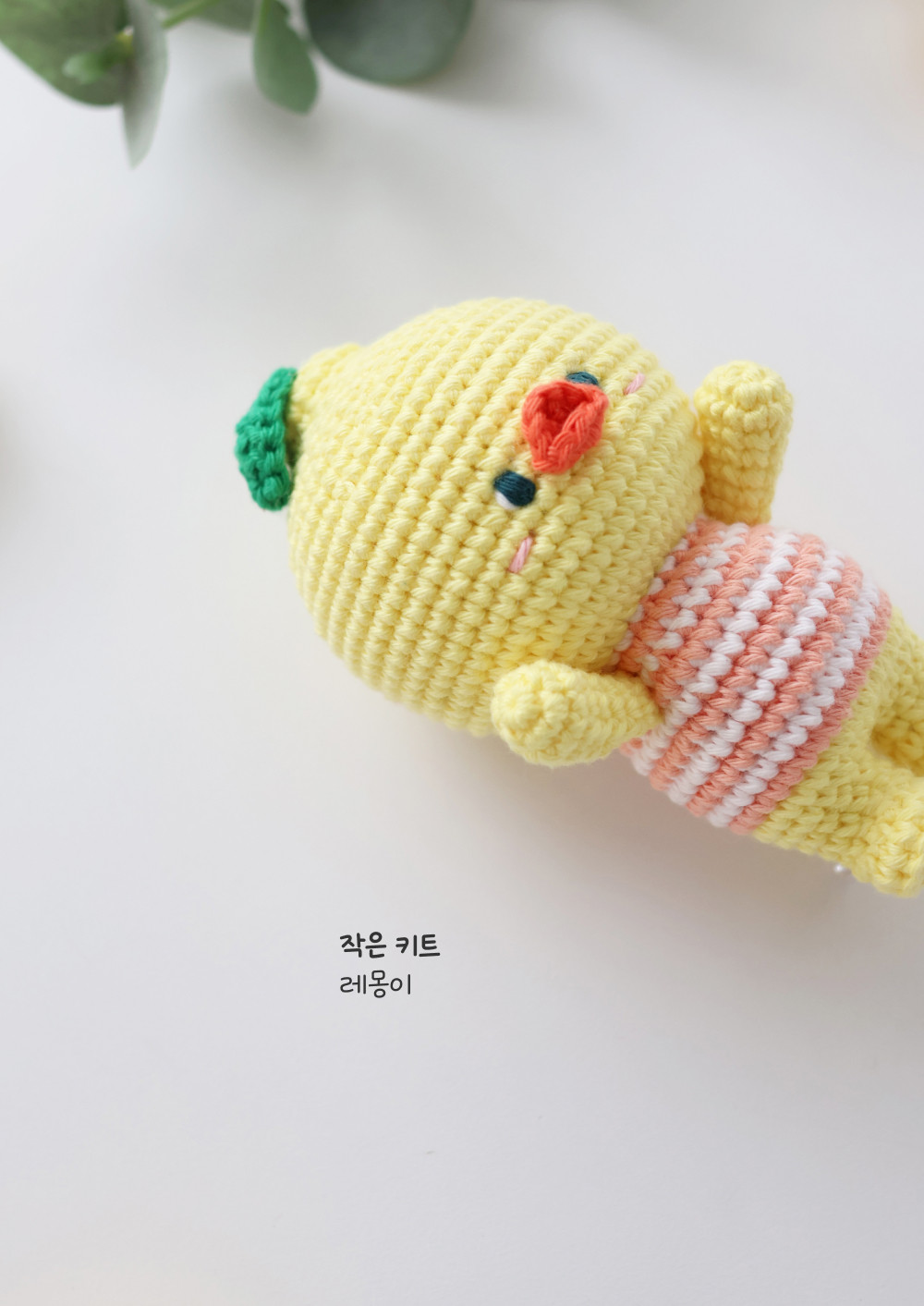 [바이브리 DIY KIT] 프루츠돌 과일 인형 뜨개 뜨개질 코바늘 인형 키링 뜨개 키트 패키지