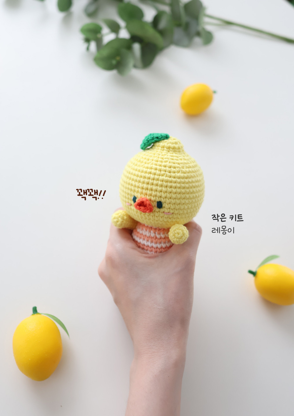 [바이브리 DIY KIT] 프루츠돌 과일 인형 뜨개 뜨개질 코바늘 인형 키링 뜨개 키트 패키지