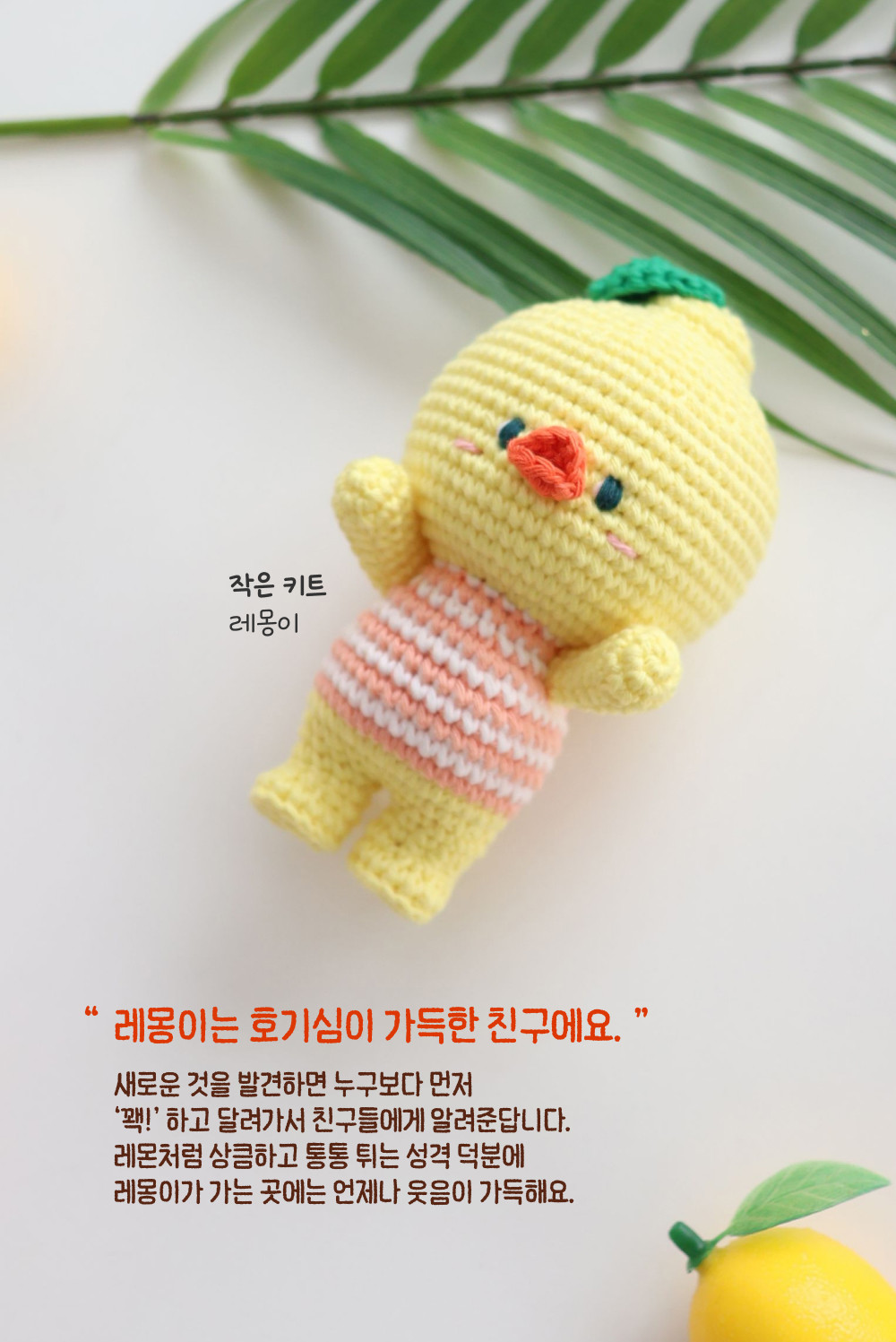 [바이브리 DIY KIT] 프루츠돌 과일 인형 뜨개 뜨개질 코바늘 인형 키링 뜨개 키트 패키지