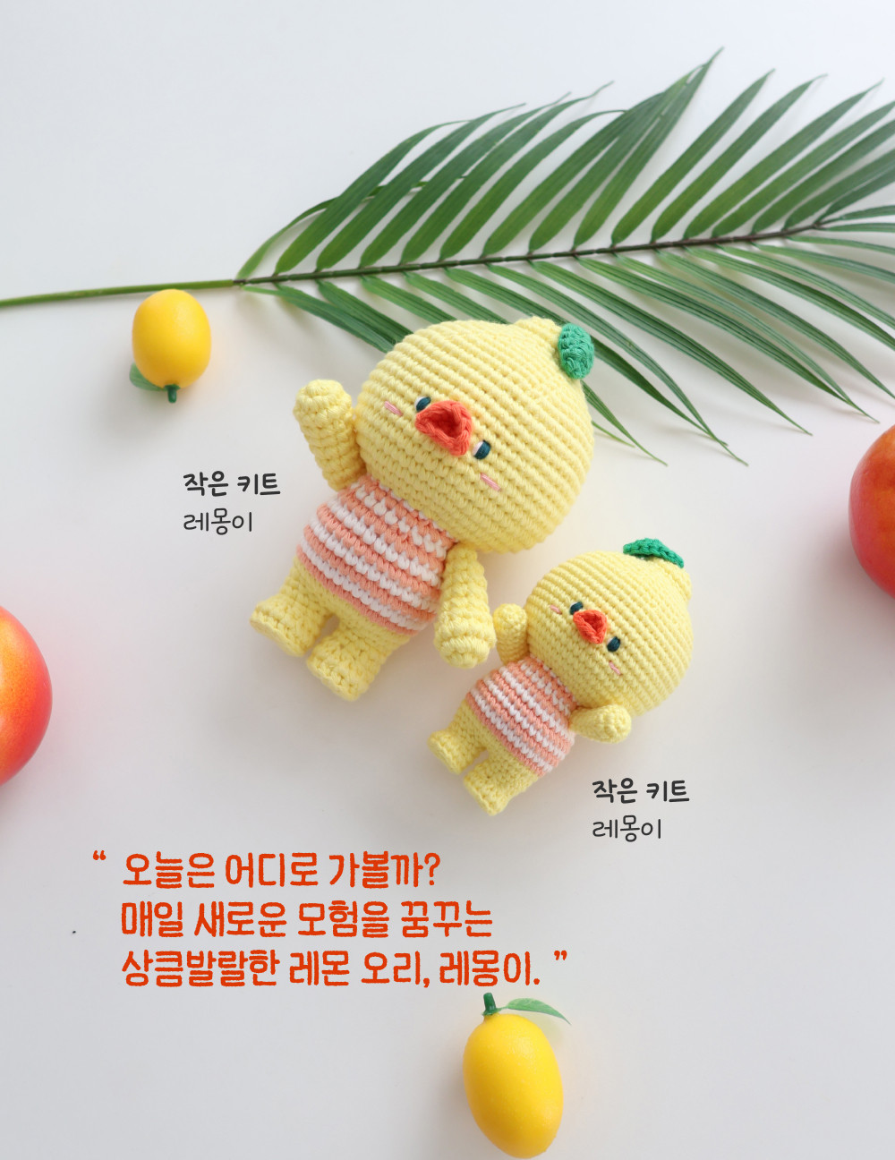 [바이브리 DIY KIT] 프루츠돌 과일 인형 뜨개 뜨개질 코바늘 인형 키링 뜨개 키트 패키지