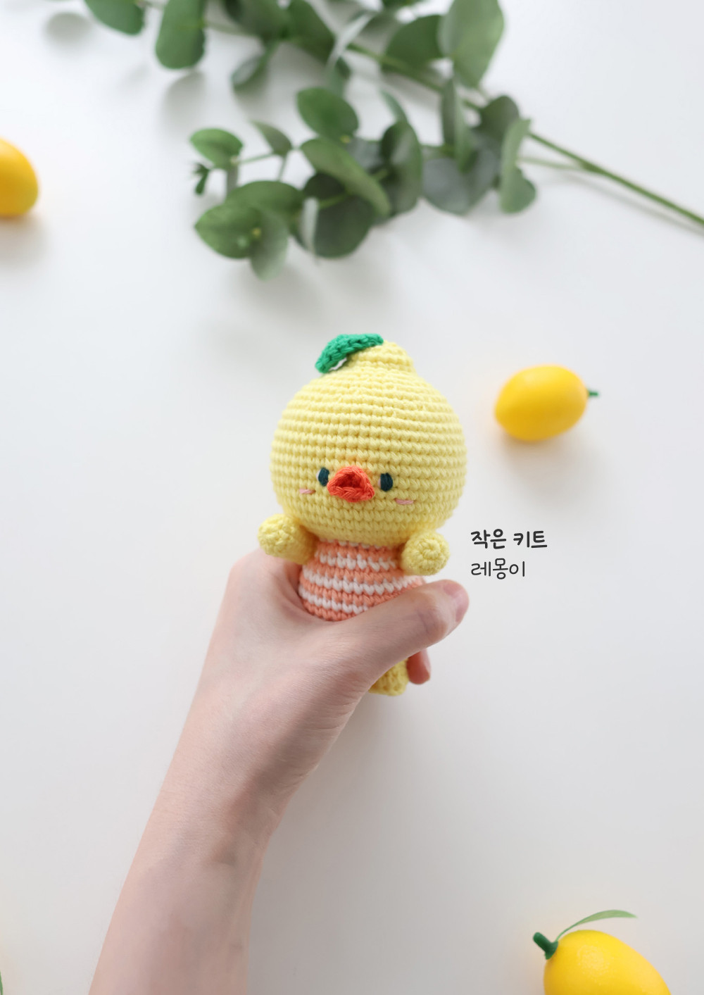[바이브리 DIY KIT] 프루츠돌 과일 인형 뜨개 뜨개질 코바늘 인형 키링 뜨개 키트 패키지