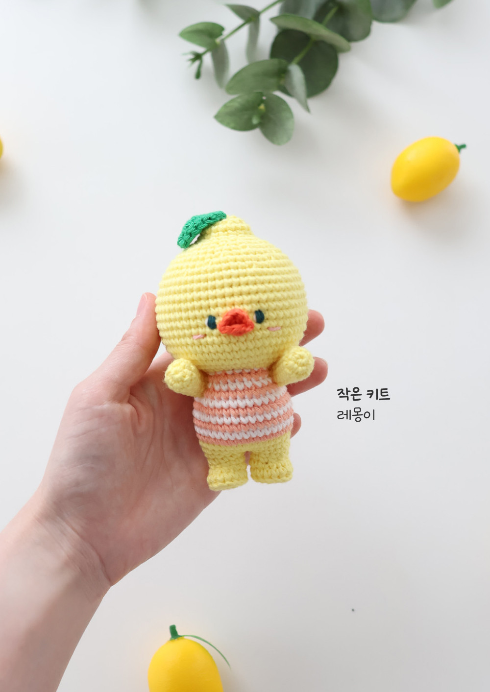 [바이브리 DIY KIT] 프루츠돌 과일 인형 뜨개 뜨개질 코바늘 인형 키링 뜨개 키트 패키지