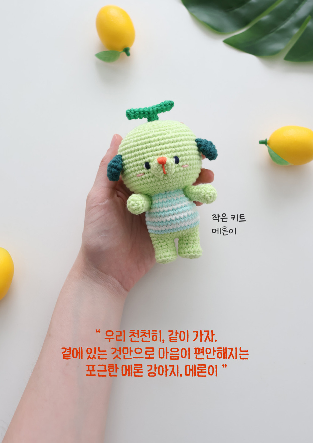 [바이브리 DIY KIT] 프루츠돌 과일 인형 뜨개 뜨개질 코바늘 인형 키링 뜨개 키트 패키지