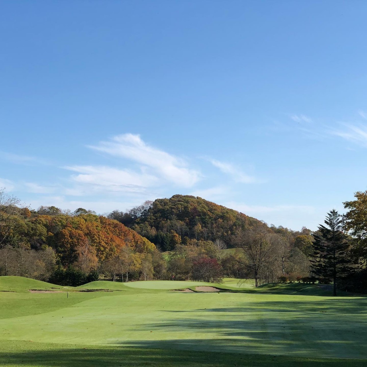 ❄북해도 7색골프 9월특가 3박4일 54홀 1,229,000 원~ 거품 없는 가격🔊한국인 직원 상주