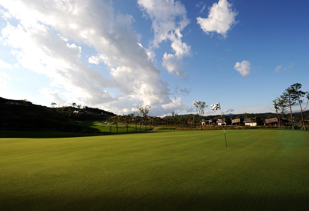 5~6월⛳강원 평창 명문(평창) 🔊대관령 청정 세계적인 명품 골프코스 평창 명문!! 1박2일 255,000원~