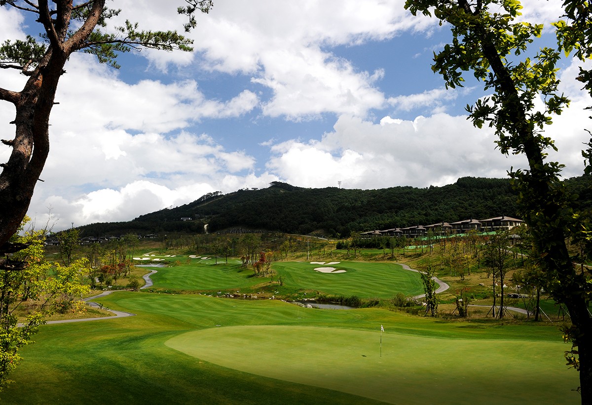 5~6월⛳강원 평창 명문(평창) 🔊대관령 청정 세계적인 명품 골프코스 평창 명문!! 1박2일 255,000원~