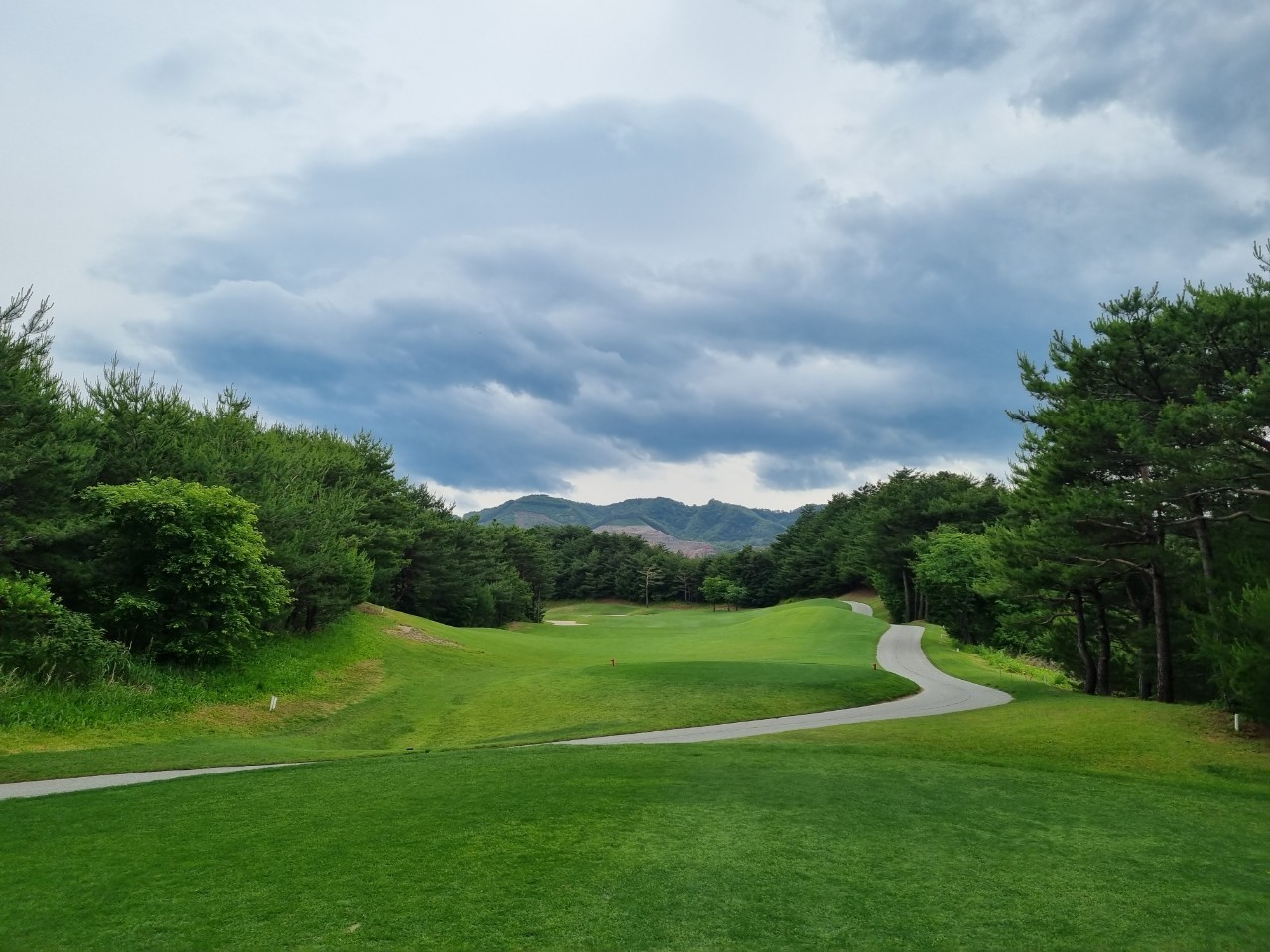 5월⛳파인밸리(삼척) 1박2일 특가 350,000원~