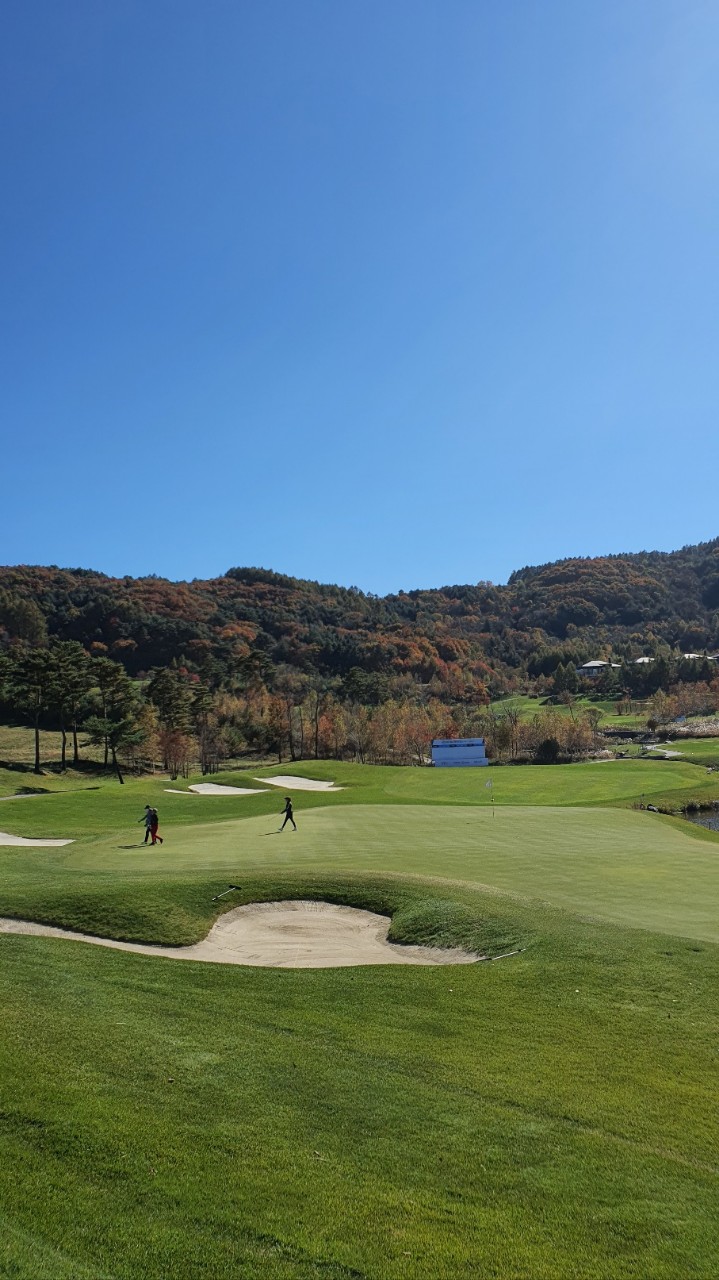 5~6월⛳강원 평창 명문(평창) 🔊대관령 청정 세계적인 명품 골프코스 평창 명문!! 1박2일 255,000원~