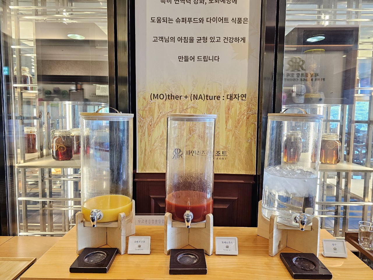 9⛳파인리즈(고성) 1박2일 특가 356,000원~ 🔵2인패키지 가능