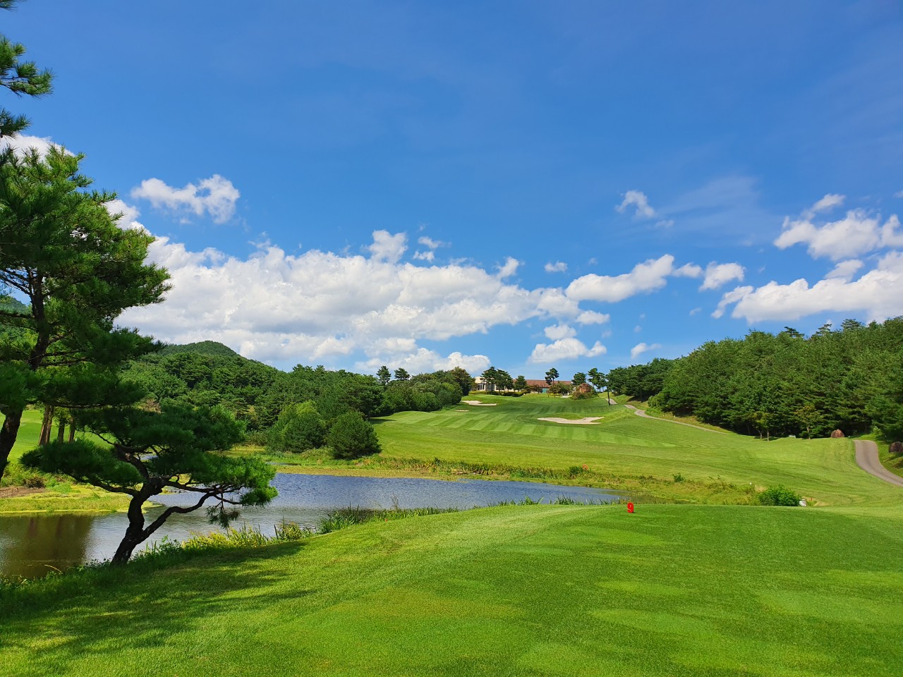 5월⛳파인밸리(삼척) 1박2일 특가 350,000원~