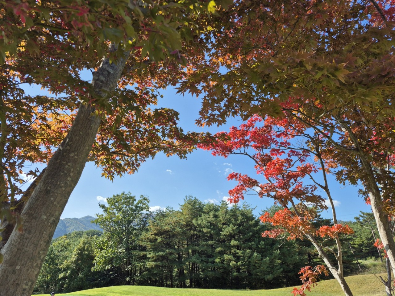 5월⛳파인밸리(삼척) 1박2일 특가 350,000원~