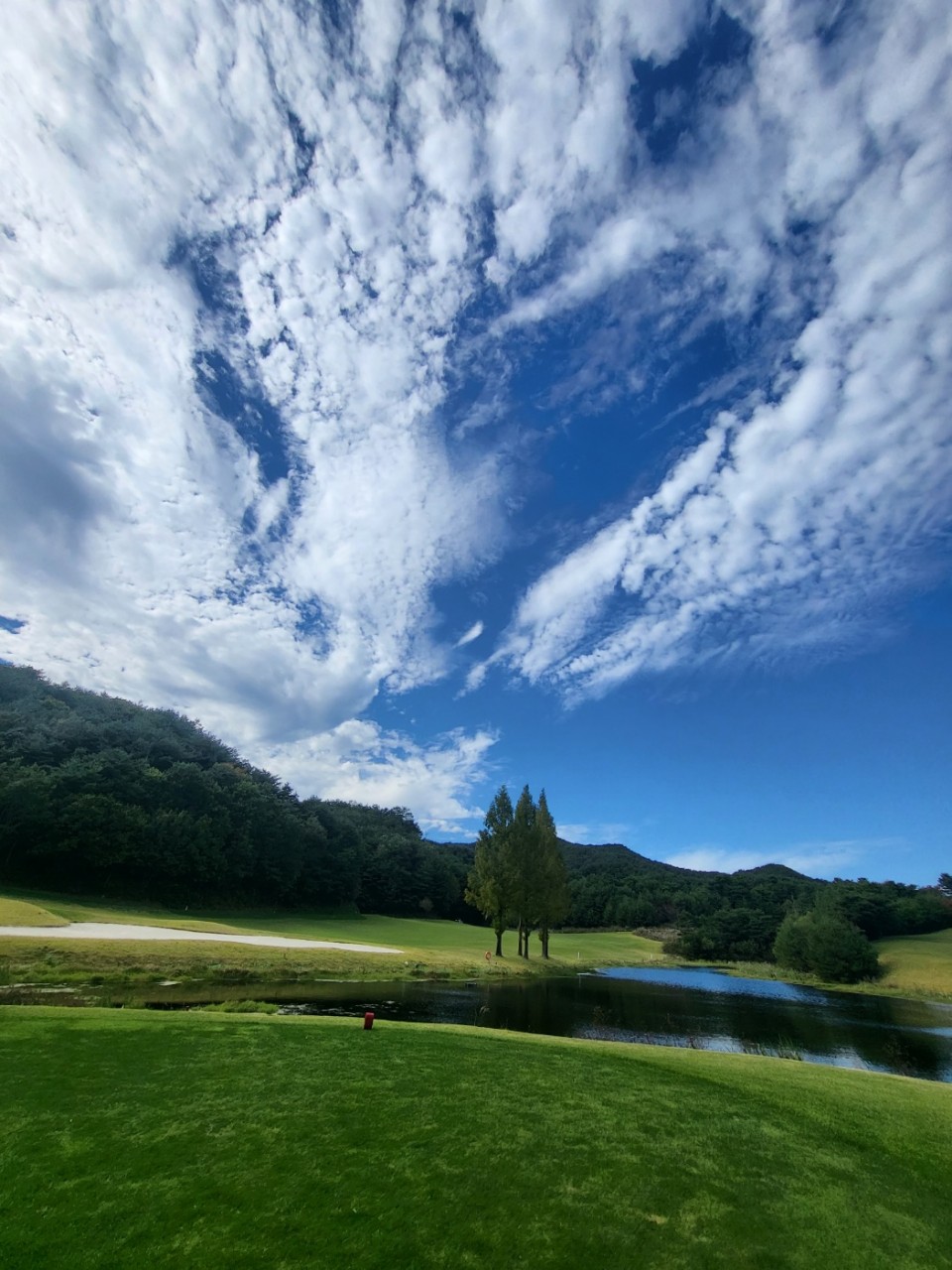 5월⛳파인밸리(삼척) 1박2일 특가 350,000원~