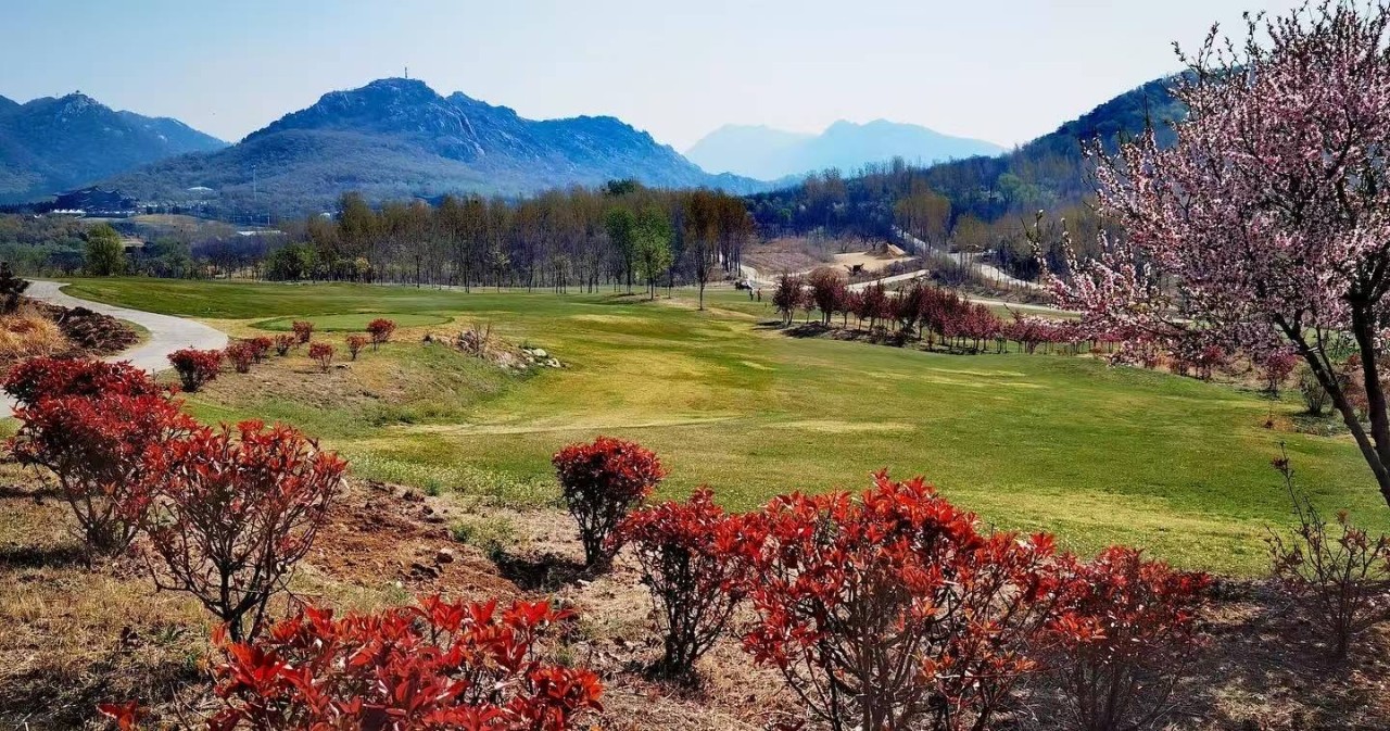 추석연휴⛳️석문산/골드우CC 3박4일 1,299,000원⛳️ 전일정 그린피,캐디피,카트,식사포함