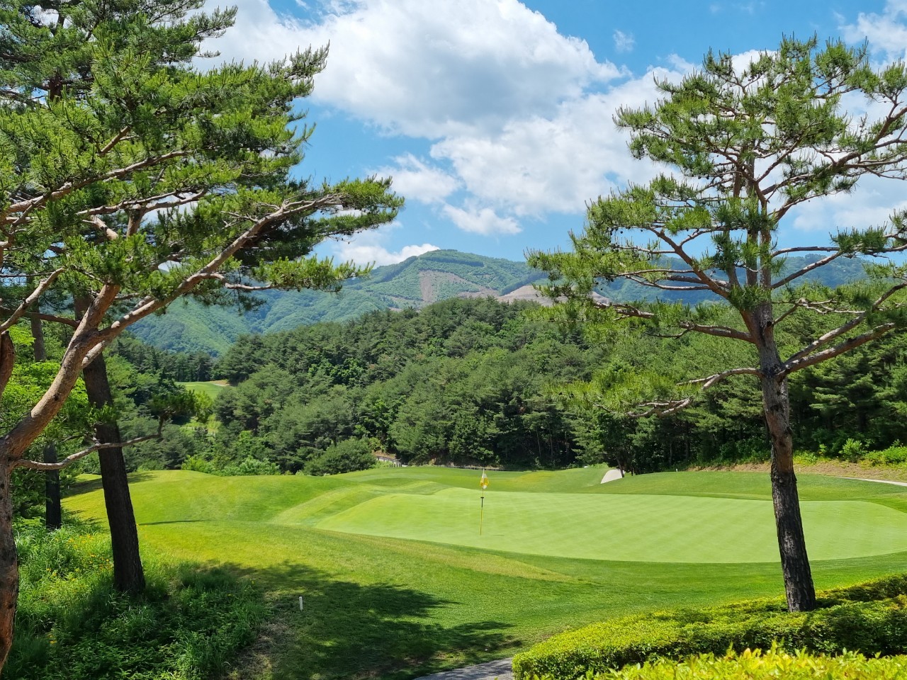 5월⛳파인밸리(삼척) 1박2일 특가 350,000원~