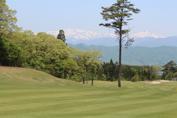 8~9월 ⛳️나고야 고원 2색 골프 🏔️ 해발 1,200m 고원 골프장 🏌️‍♂️ 서로 다른 매력의 명문 2색 골프